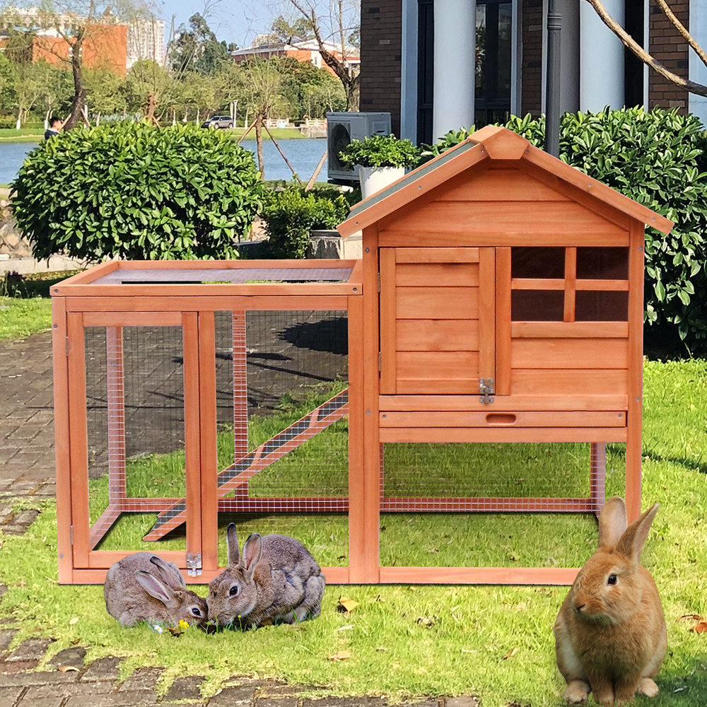 Pets at home outdoor hutches best sale